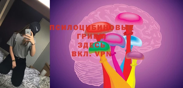 мдпв Белокуриха